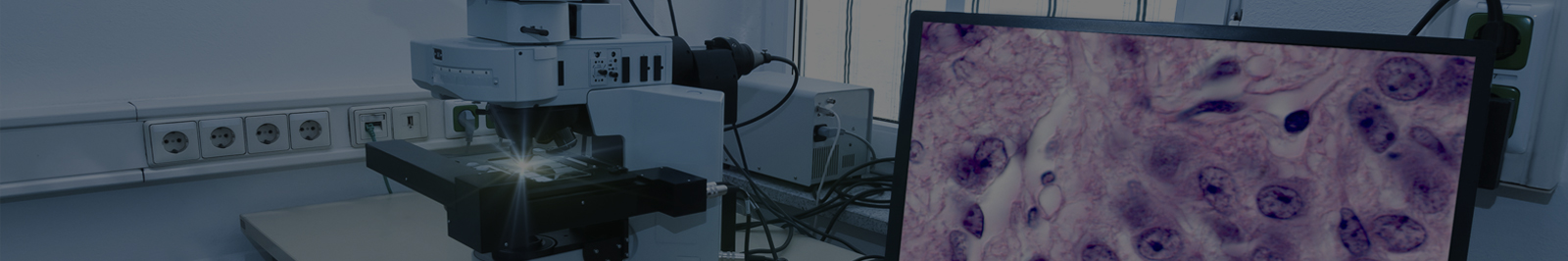 iStock_000046631268_Large